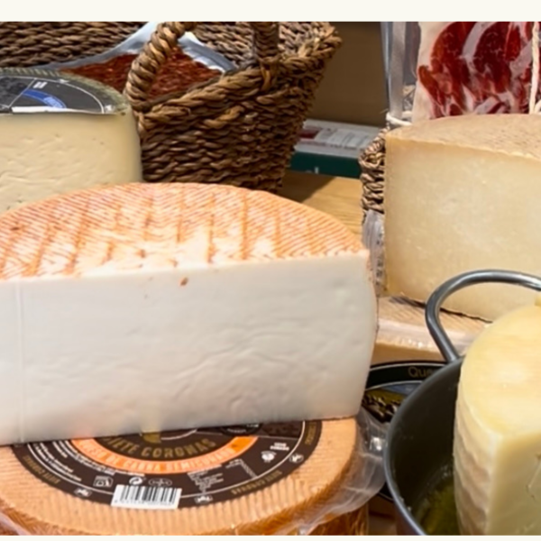 Disseny sense títol (21)